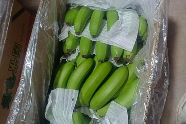 精品精品国产自在97香蕉