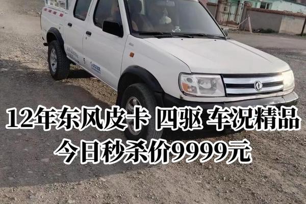 日本精品久久久久9999_皮卡市场分析
