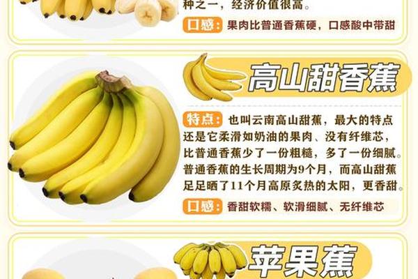 精品香蕉亚洲欧洲一区;美国天堂