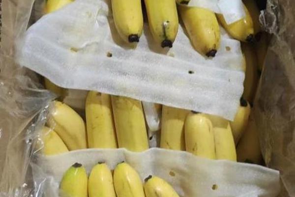 精品精品国产自在97香蕉