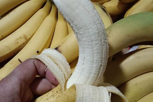 国产精品香蕉自产拍在线观看